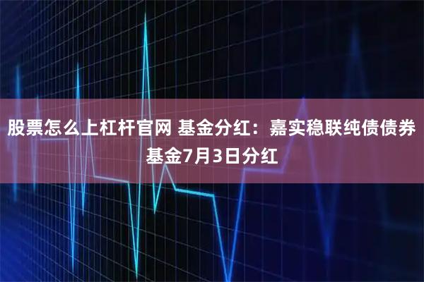 股票怎么上杠杆官网 基金分红：嘉实稳联纯债债券基金7月3日分红
