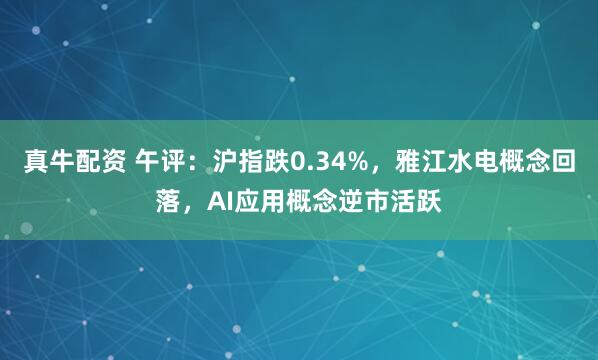 真牛配资 午评：沪指跌0.34%，雅江水电概念回落，AI应用概念逆市活跃