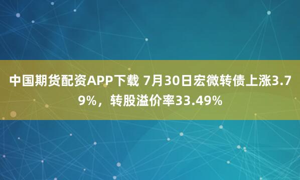中国期货配资APP下载 7月30日宏微转债上涨3.79%，转股溢价率33.49%