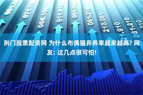 荆门股票配资网 为什么布偶猫弃养率越来越高? 网友: 这几点很可怕!