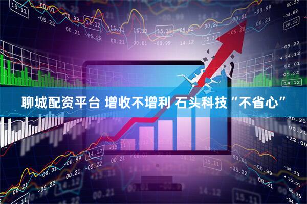 聊城配资平台 增收不增利 石头科技“不省心”